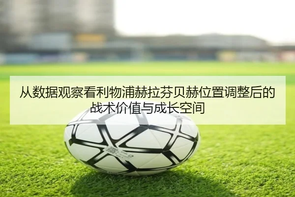img_1779108250447_747_1_300.jpg