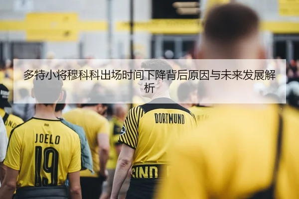 多特小将穆科科出场时间下降背后原因与未来发展解析